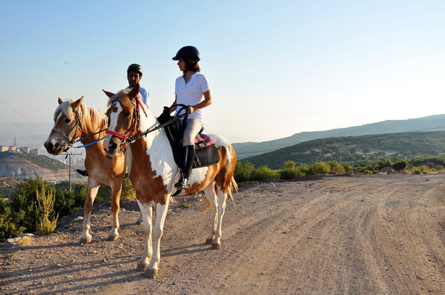 Horse Riding Tours